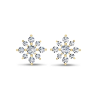 Eden Diamond Earrings